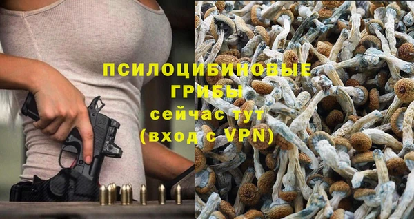 мет Козельск