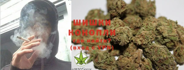 ПСИЛОЦИБИНОВЫЕ ГРИБЫ Кодинск