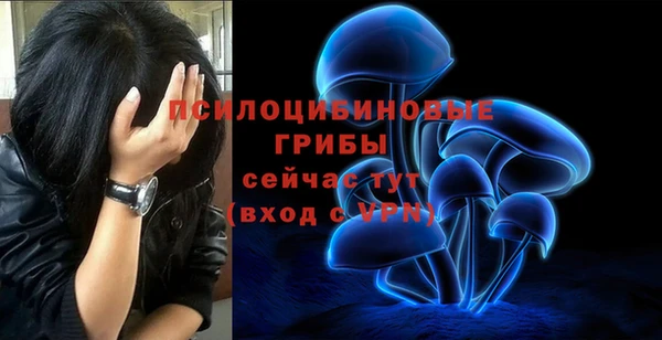 мет Козловка